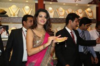 Diksha Panth at Joyalukkas International Jewellery Show Photos